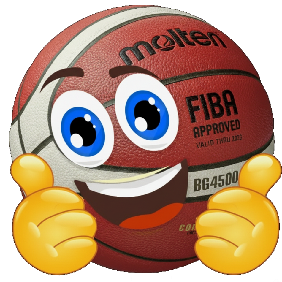 Alfa Basket Fusa